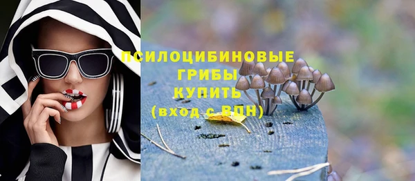 PSILOCYBIN Баксан