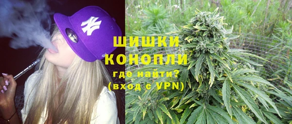 амф Елизово