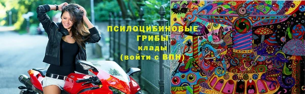 дживик Белокуриха