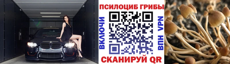 ОМГ ОМГ ссылки  Спасск-Рязанский  Галлюциногенные грибы Psilocybine cubensis  продажа наркотиков 